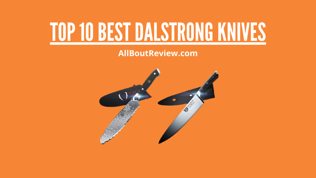 Top 10 Best Dalstrong Knives
