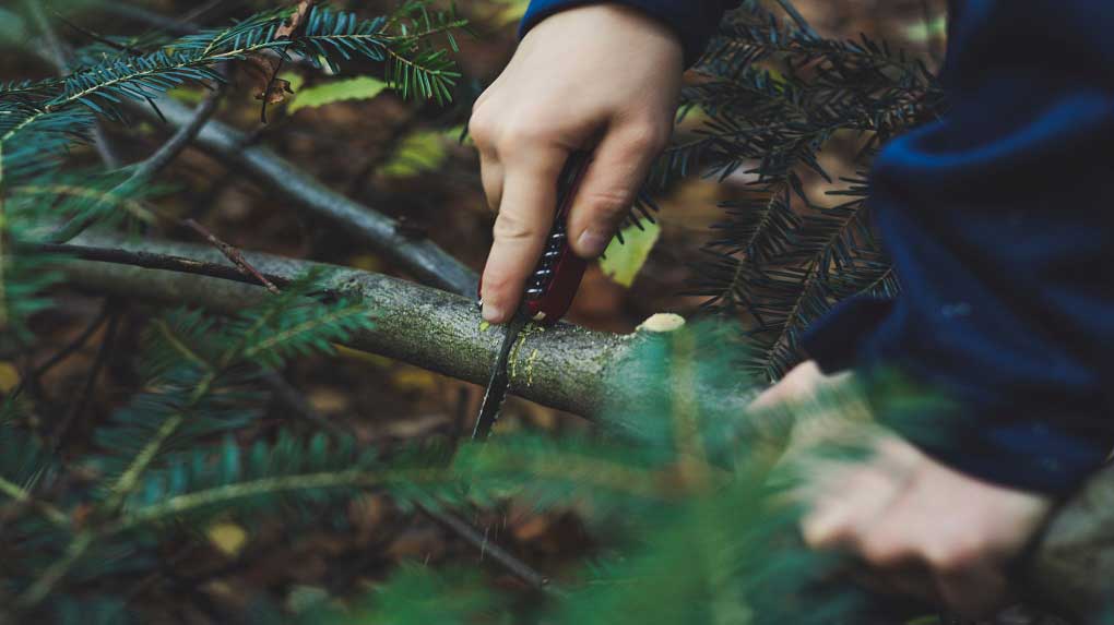 Top 10 Best Gardening Machetes