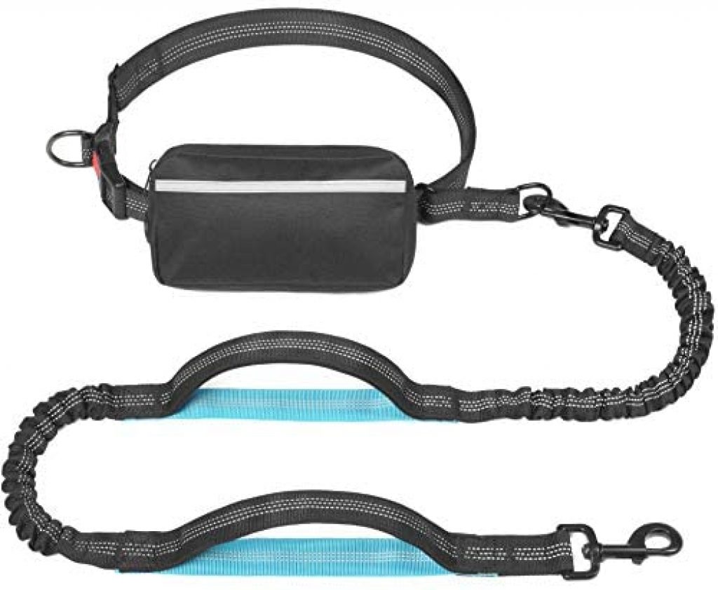 iYoShop Hands Free Dog Leash with Zipper Pouch, Dual Padded Handles and Durable Bungee for Small Medium and Large Dogs