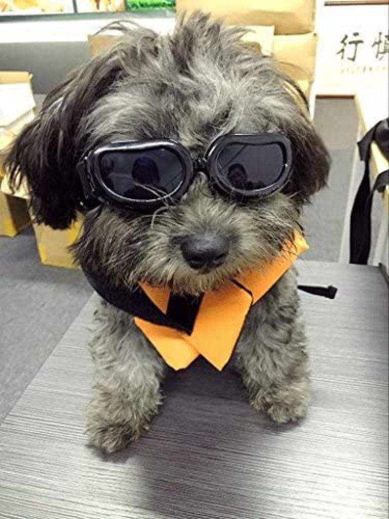 Enjoying Small Dog Goggles UV Protection Doggy Sunglasses Windproof Pet Glasses for Puppy Cat Eyes Protective